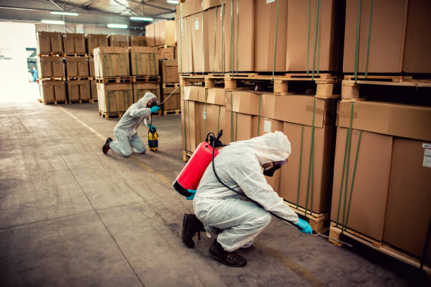Best Pest Control Treatment  in USA